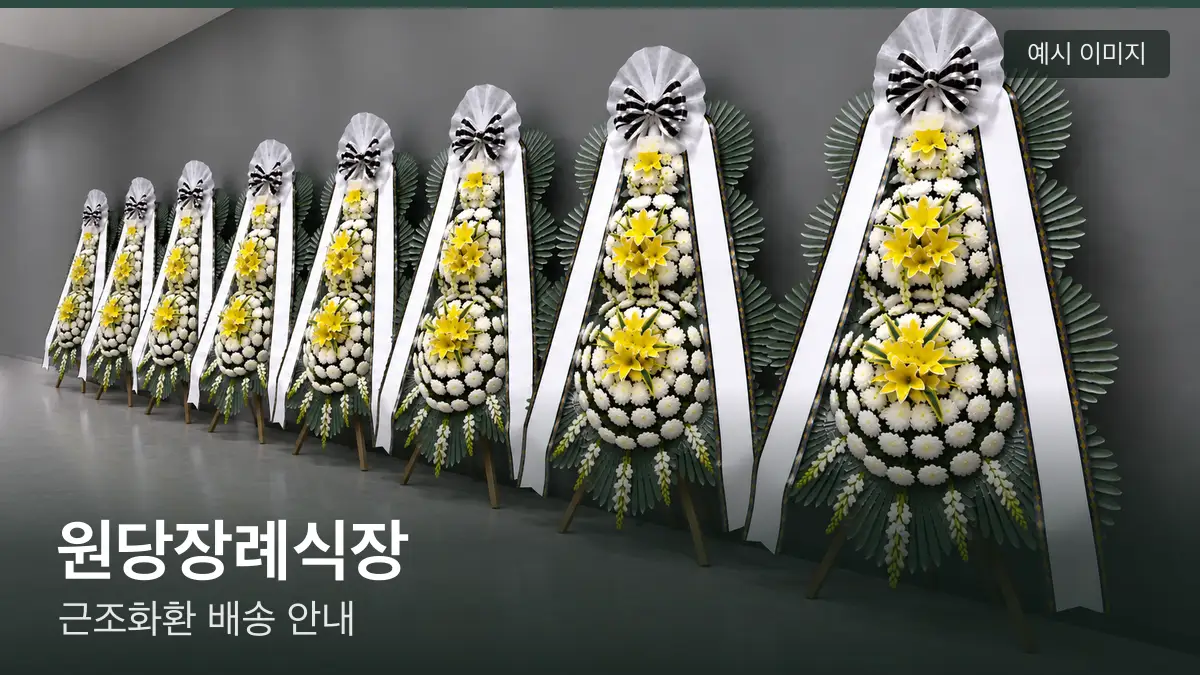 원당장례식장 근조화환 예시 이미지 — 흰 국화 3단 근조화환이 벽을 따라 나란히 놓인 모습