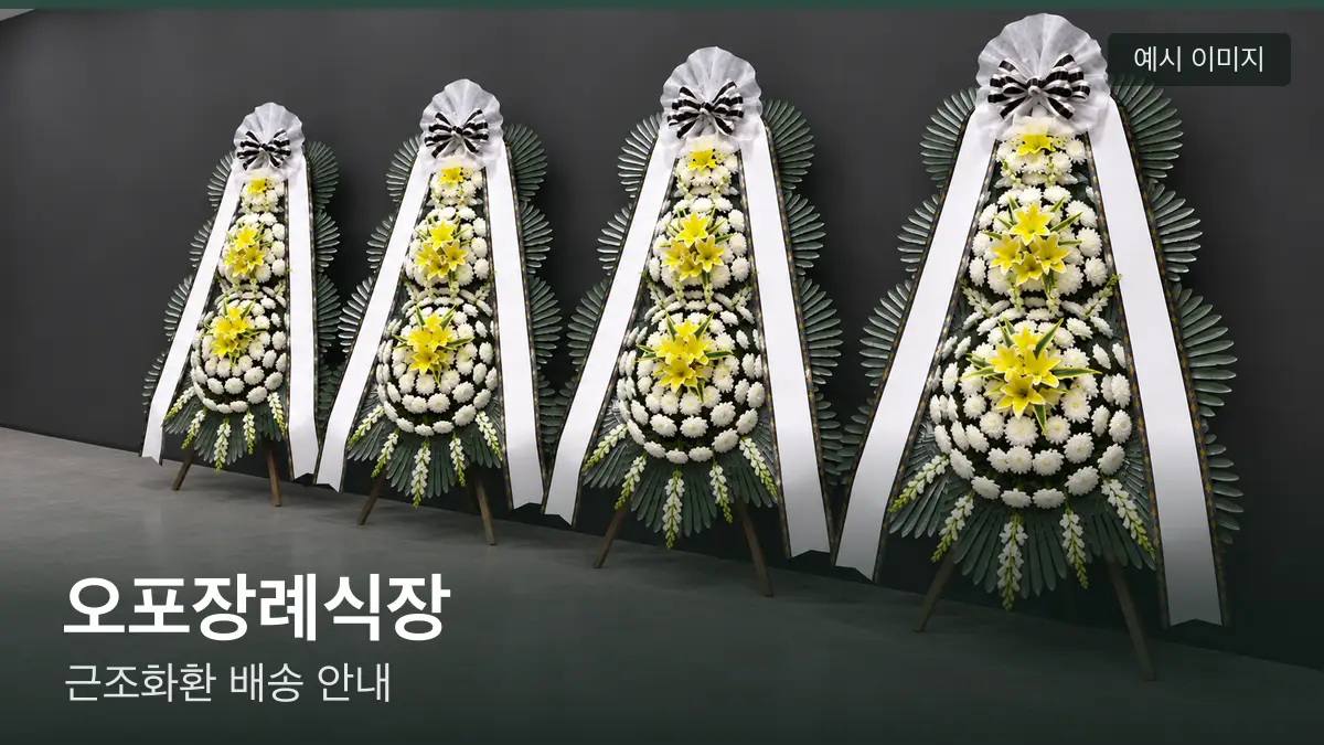 오포장례식장 근조화환 예시 이미지 — 흰 국화 3단 근조화환이 벽을 따라 나란히 놓인 모습
