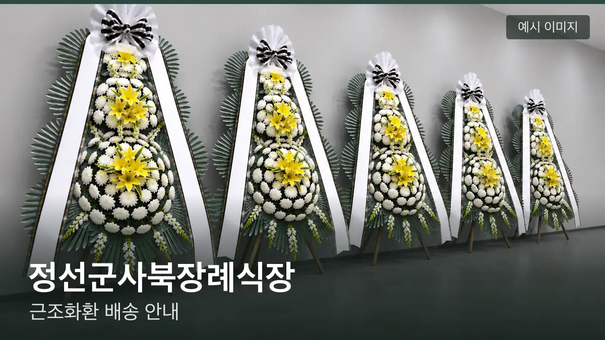 정선군사북장례식장 근조화환 예시 이미지 — 흰 국화 3단 근조화환이 벽을 따라 나란히 놓인 모습