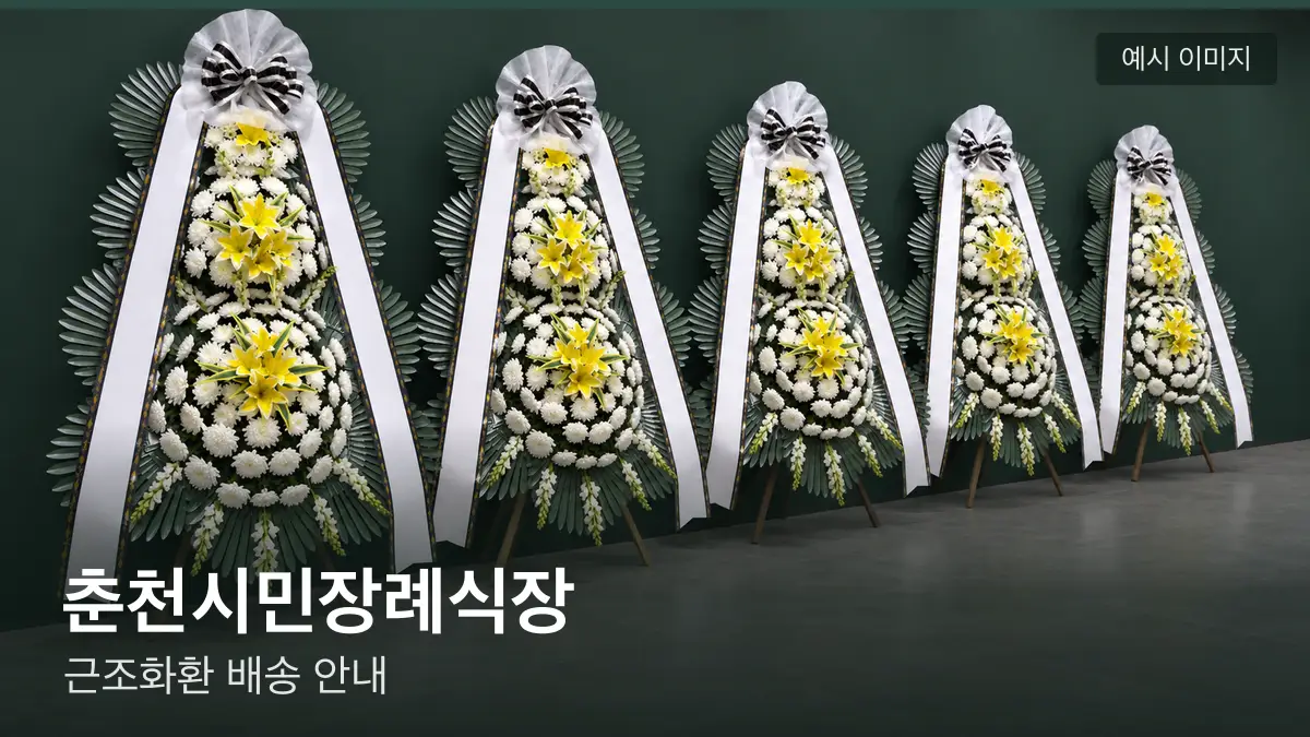 춘천시민장례식장 근조화환 예시 이미지 — 흰 국화 3단 근조화환이 벽을 따라 나란히 놓인 모습