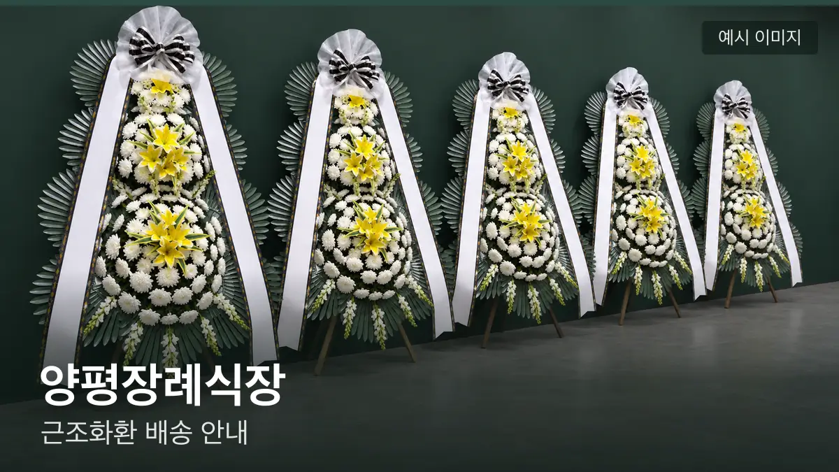 양평장례식장 근조화환 예시 이미지 — 흰 국화 3단 근조화환이 벽을 따라 나란히 놓인 모습