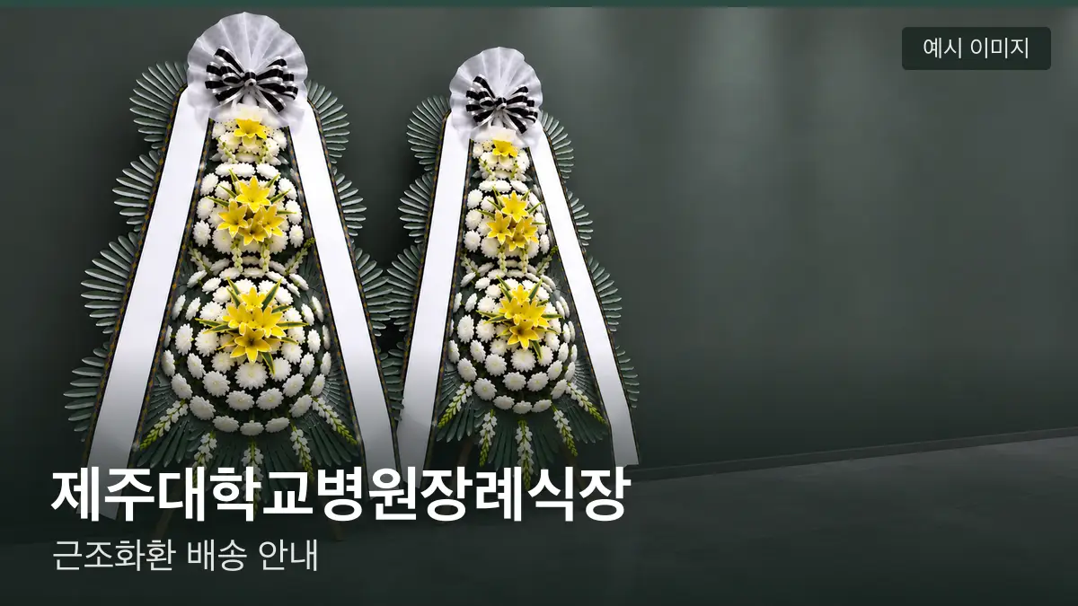 제주대학교병원장례식장 근조화환 예시 이미지 — 흰 국화 3단 근조화환이 벽을 따라 나란히 놓인 모습