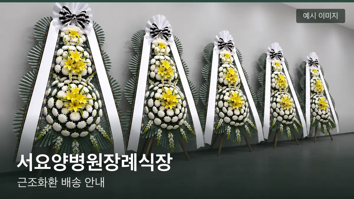 서요양병원장례식장 근조화환 예시 이미지 — 흰 국화 3단 근조화환이 벽을 따라 나란히 놓인 모습