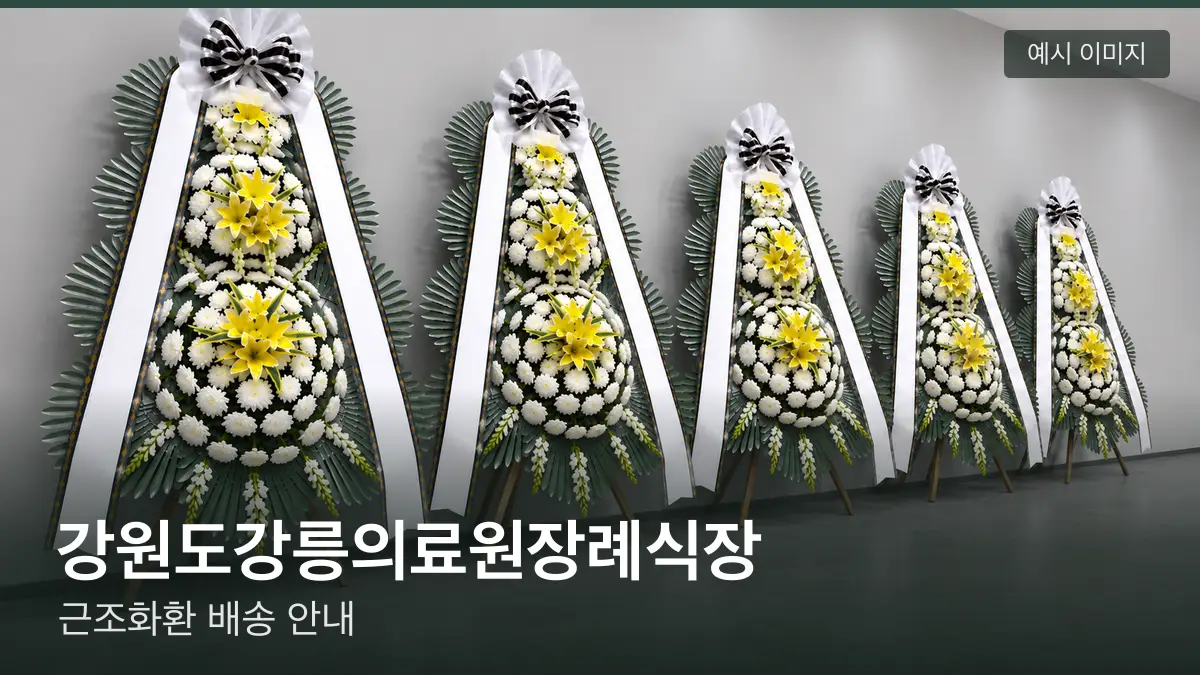 강원도강릉의료원장례식장 근조화환 예시 이미지 — 흰 국화 3단 근조화환이 벽을 따라 나란히 놓인 모습