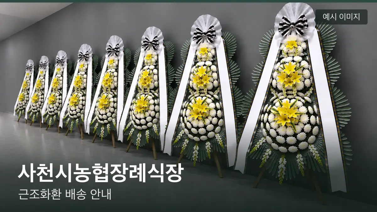 사천시농협장례식장 근조화환 예시 이미지 — 흰 국화 3단 근조화환이 벽을 따라 나란히 놓인 모습