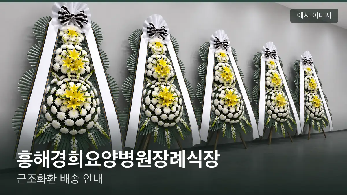 흥해경희요양병원장례식장 근조화환 예시 이미지 — 흰 국화 3단 근조화환이 벽을 따라 나란히 놓인 모습