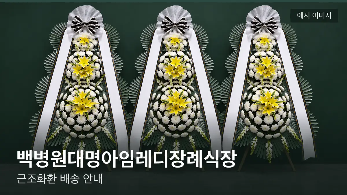 백병원대명아임레디장례식장 근조화환 예시 이미지 — 흰 국화 3단 근조화환이 벽을 따라 나란히 놓인 모습