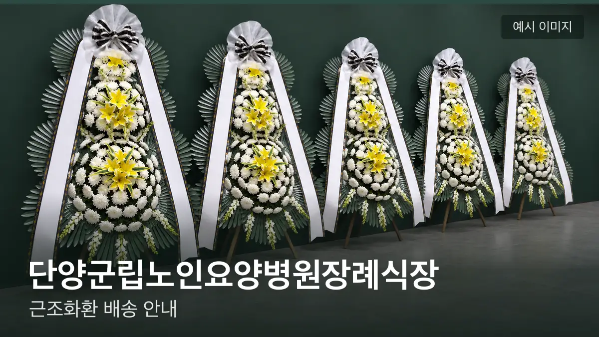 단양군립노인요양병원장례식장 근조화환 예시 이미지 — 흰 국화 3단 근조화환이 벽을 따라 나란히 놓인 모습