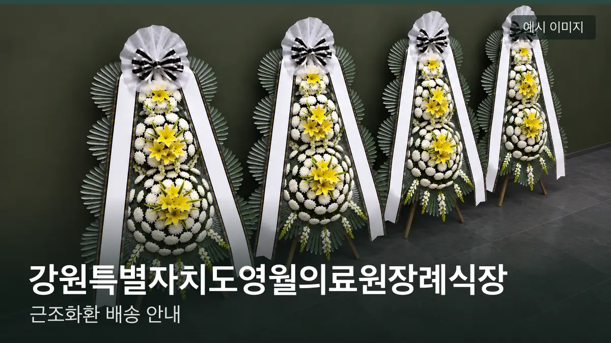 강원특별자치도영월의료원장례식장 근조화환 예시 이미지 — 흰 국화 3단 근조화환이 벽을 따라 나란히 놓인 모습