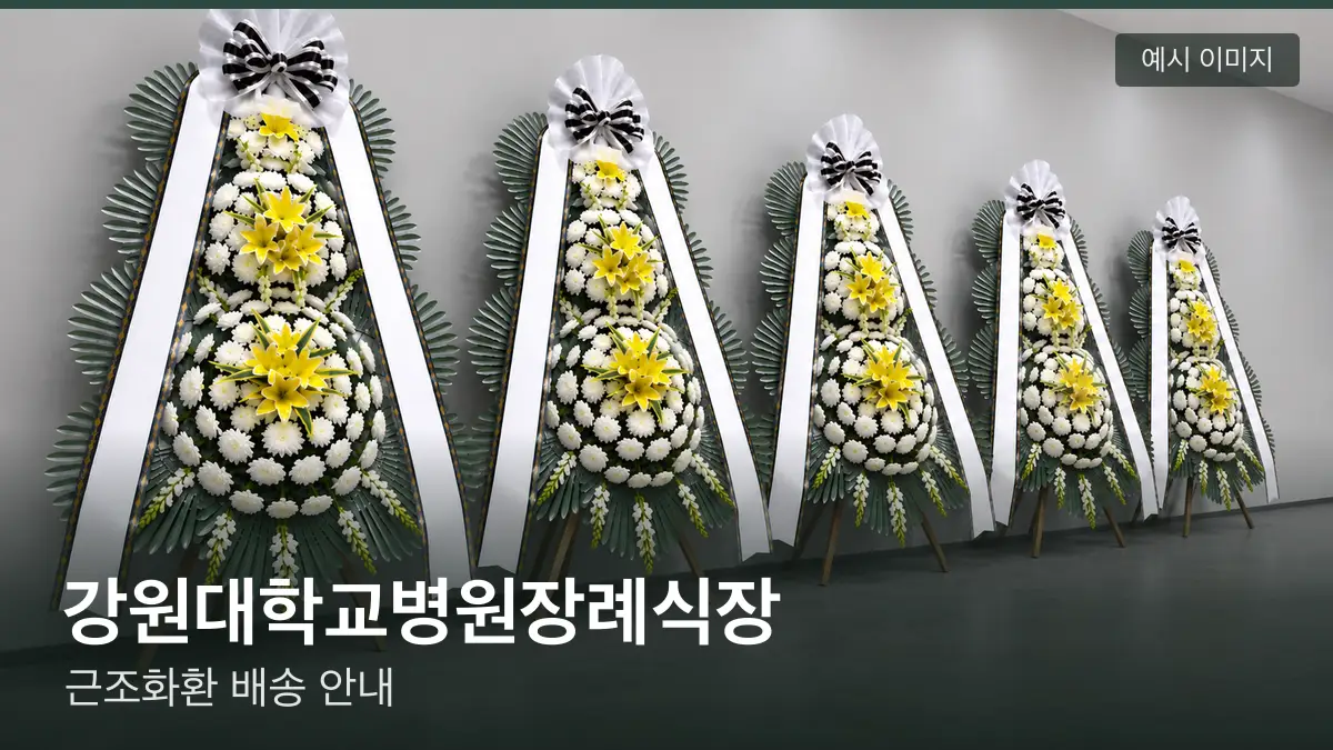 강원대학교병원장례식장 근조화환 예시 이미지 — 흰 국화 3단 근조화환이 벽을 따라 나란히 놓인 모습