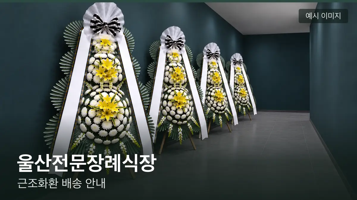 울산전문장례식장 근조화환 예시 이미지 — 흰 국화 3단 근조화환이 벽을 따라 나란히 놓인 모습
