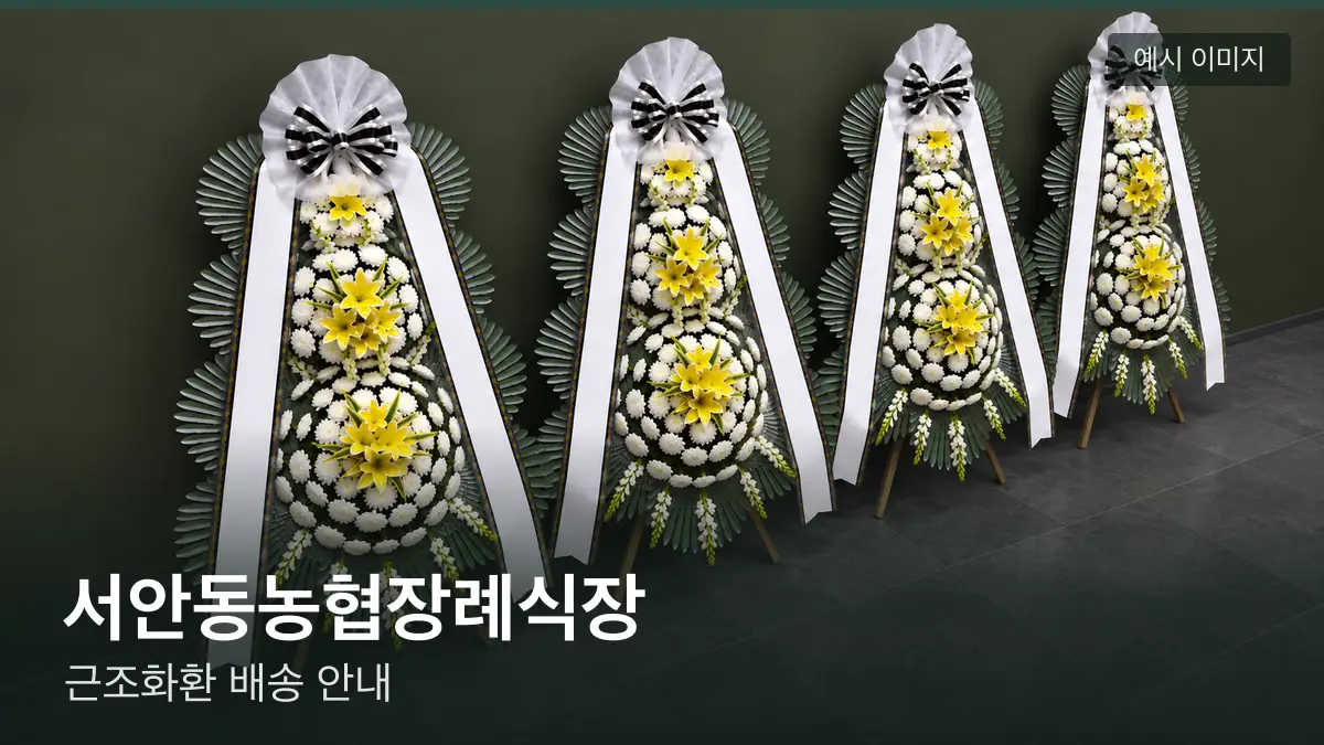 서안동농협장례식장 근조화환 예시 이미지 — 흰 국화 3단 근조화환이 벽을 따라 나란히 놓인 모습