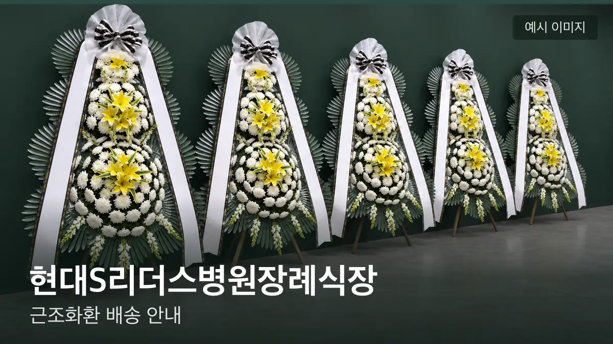 현대S리더스병원장례식장 근조화환 예시 이미지 — 흰 국화 3단 근조화환이 벽을 따라 나란히 놓인 모습