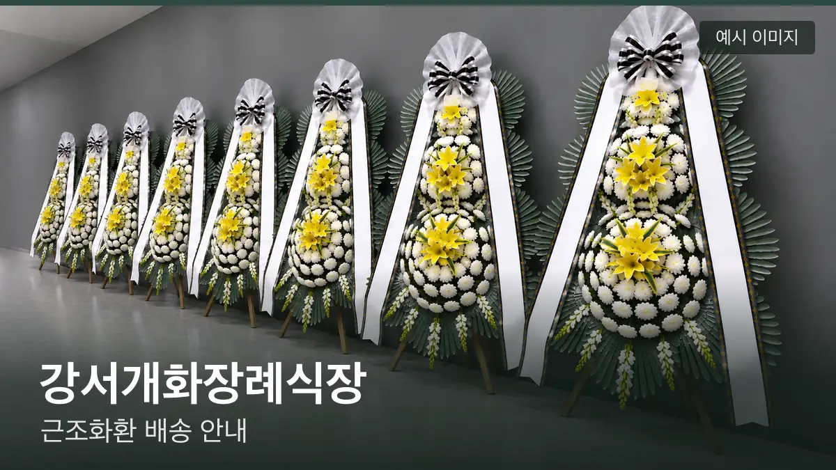 강서개화장례식장 근조화환 예시 이미지 — 흰 국화 3단 근조화환이 벽을 따라 나란히 놓인 모습