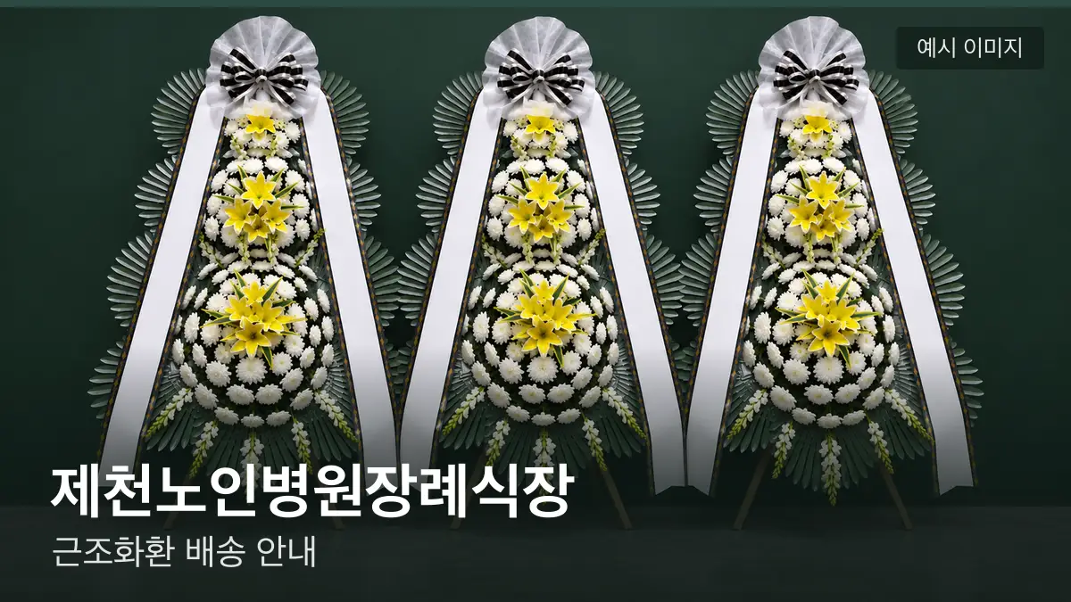 제천노인병원장례식장 근조화환 예시 이미지 — 흰 국화 3단 근조화환이 벽을 따라 나란히 놓인 모습