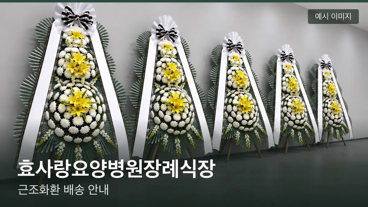 효사랑요양병원장례식장 근조화환 예시 이미지 — 흰 국화 3단 근조화환이 벽을 따라 나란히 놓인 모습