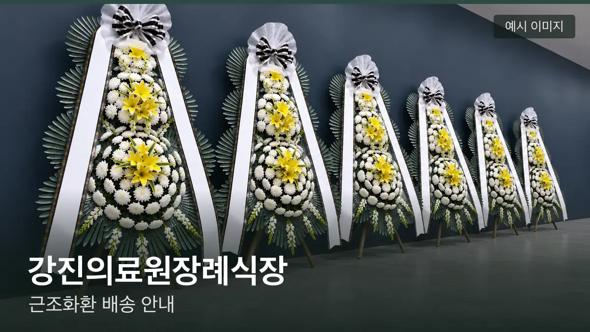 강진의료원장례식장 근조화환 예시 이미지 — 흰 국화 3단 근조화환이 벽을 따라 나란히 놓인 모습