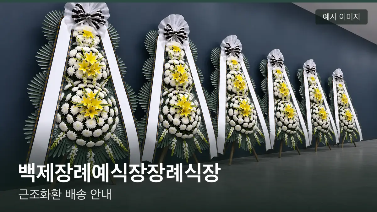 백제장례예식장장례식장 근조화환 예시 이미지 — 흰 국화 3단 근조화환이 벽을 따라 나란히 놓인 모습