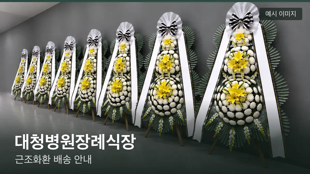 대청병원장례식장 근조화환 예시 이미지 — 흰 국화 3단 근조화환이 벽을 따라 나란히 놓인 모습
