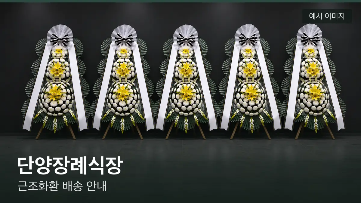 단양장례식장 근조화환 예시 이미지 — 흰 국화 3단 근조화환이 벽을 따라 나란히 놓인 모습
