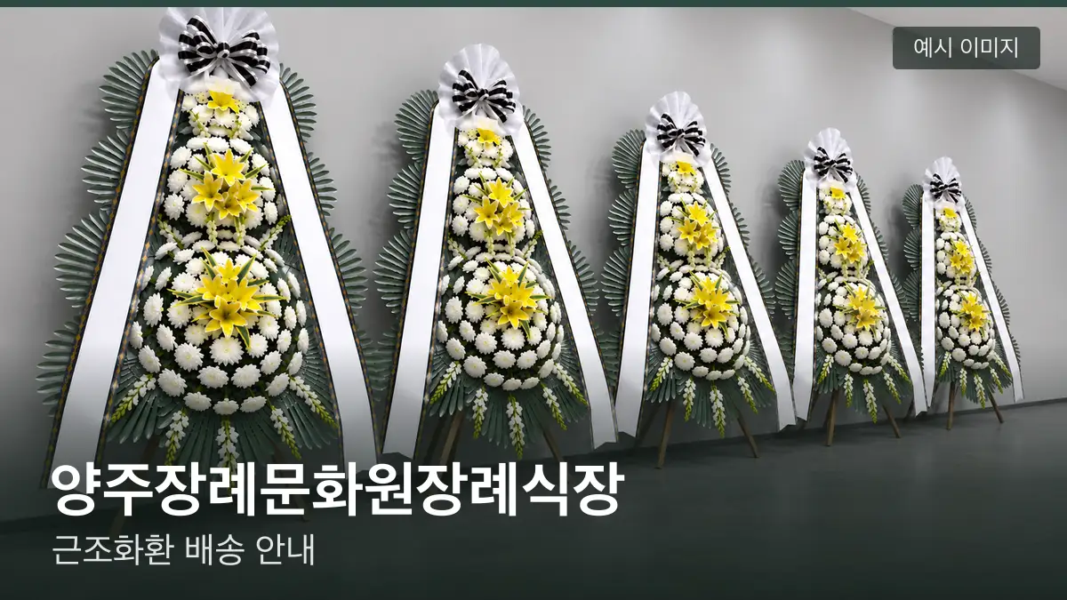 양주장례문화원장례식장 근조화환 예시 이미지 — 흰 국화 3단 근조화환이 벽을 따라 나란히 놓인 모습