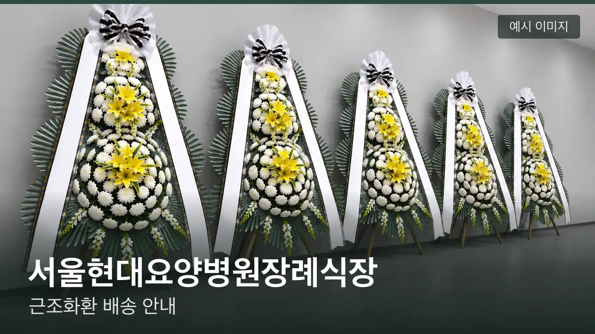 서울현대요양병원장례식장 근조화환 예시 이미지 — 흰 국화 3단 근조화환이 벽을 따라 나란히 놓인 모습