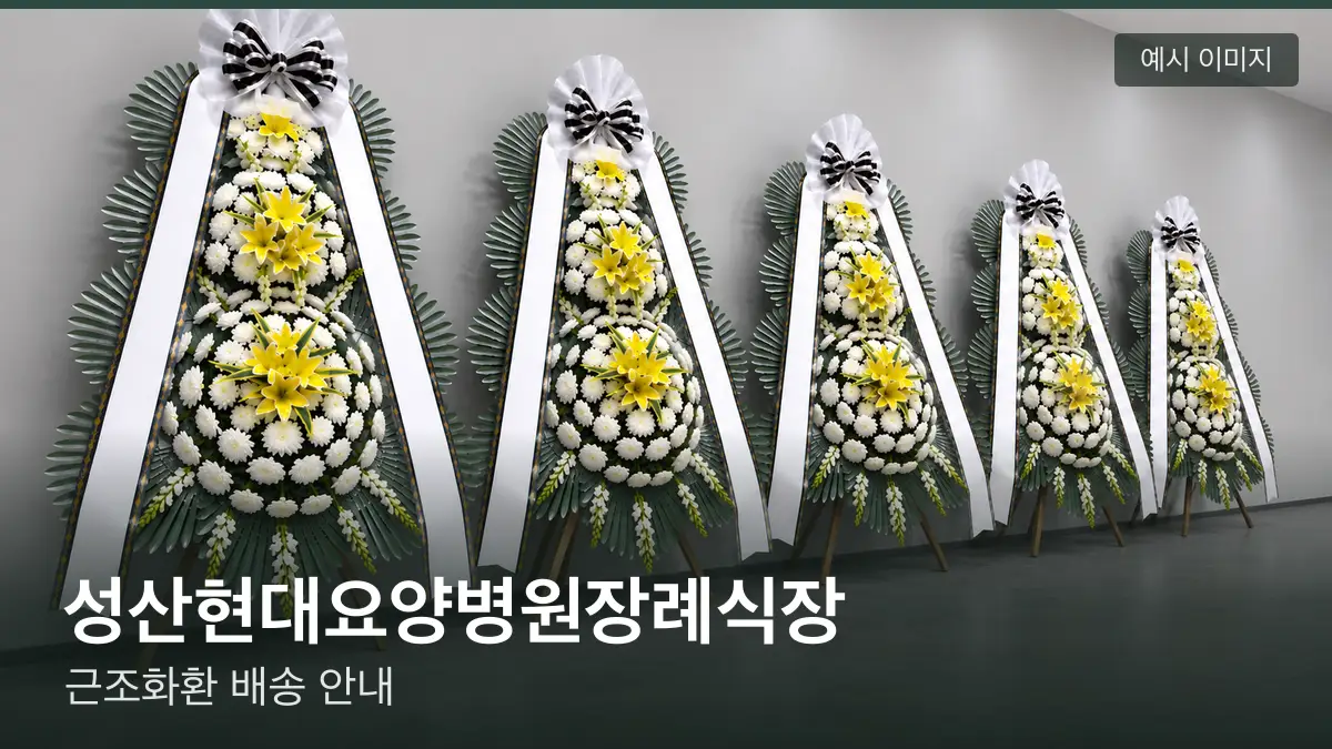 성산현대요양병원장례식장 근조화환 예시 이미지 — 흰 국화 3단 근조화환이 벽을 따라 나란히 놓인 모습