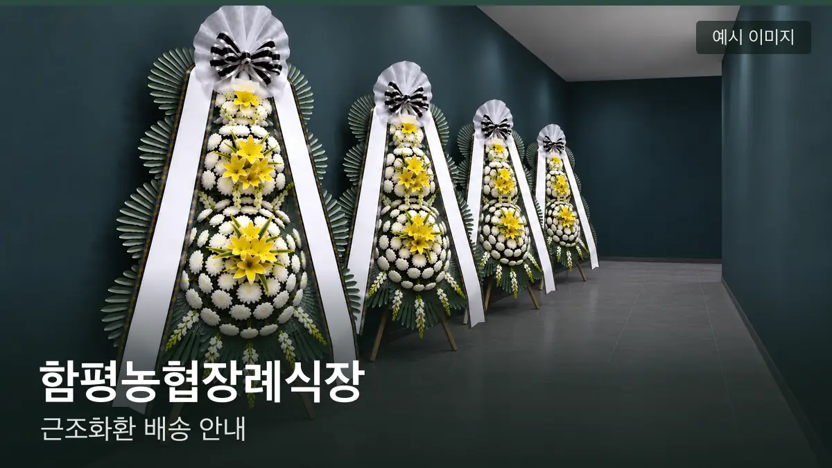 함평농협장례식장 근조화환 예시 이미지 — 흰 국화 3단 근조화환이 벽을 따라 나란히 놓인 모습