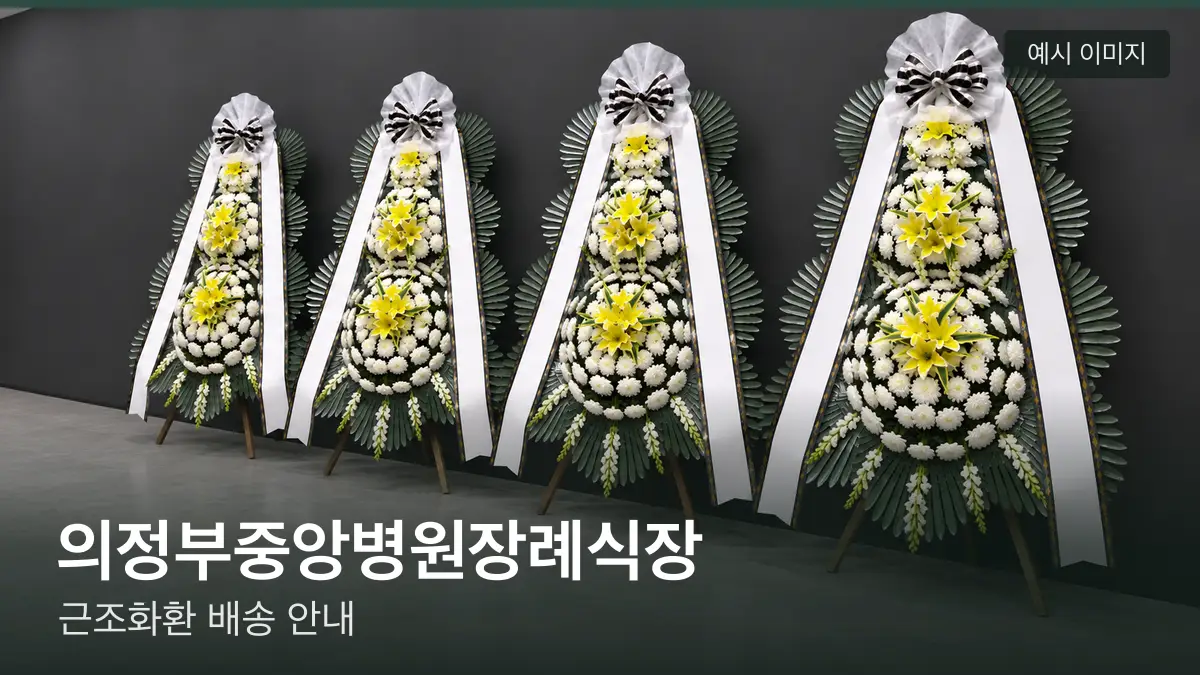 의정부중앙병원장례식장 근조화환 예시 이미지 — 흰 국화 3단 근조화환이 벽을 따라 나란히 놓인 모습